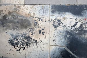 Come rimuovere le muffe dai pavimenti in cotto antico
