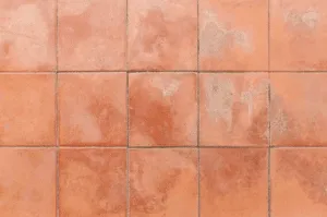 Scopri di più sull'articolo Come trattare il cotto grezzo 