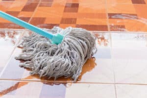 cos'è il cotto e come prendersene cura