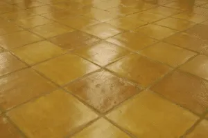 Scopri di più sull'articolo Il trattamento in Resina trasparente per pavimenti in cotto