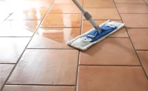 Scopri di più sull'articolo Trattamento cotto olio di lino